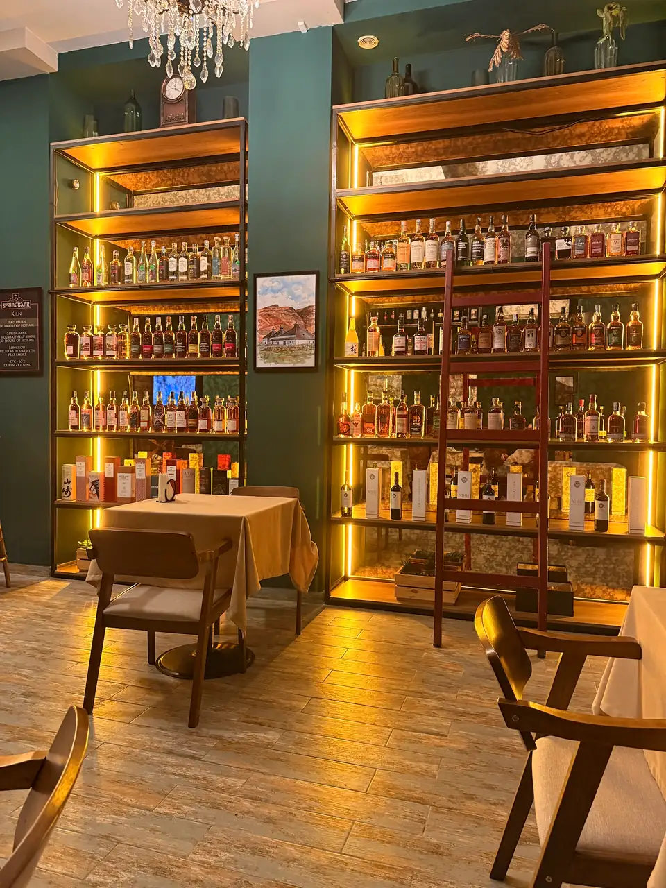 Lit shelves of whisky bottles with a library ladder beside the tables at BARD Whisky Bar, Tbilisi